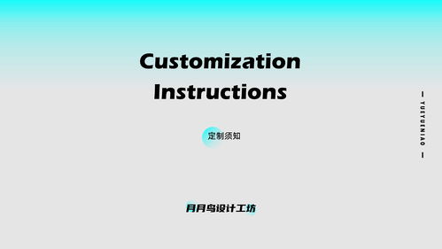 PPT定制設(shè)計與項目策劃服務 專業(yè)合作方案簡介